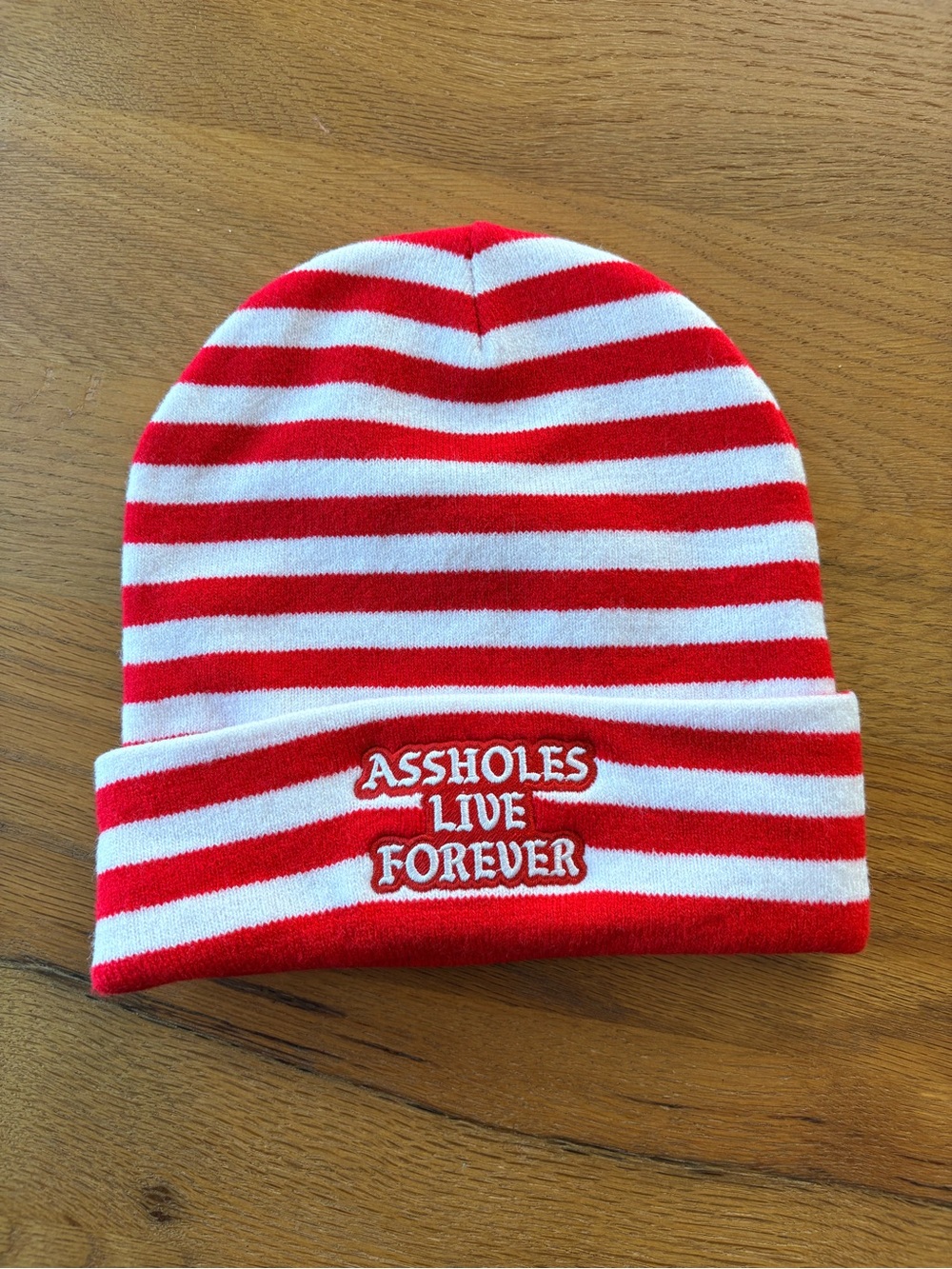 Red & White Striped Beanie Hat Embroidered A-holes live Forever